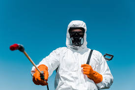 Professional Pest Control in Independence, OR